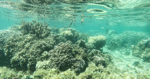 Dive site photo 9