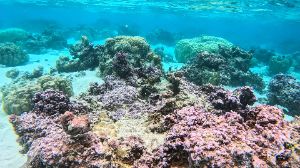 Dive site photo 1