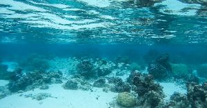 Dive site photo 2