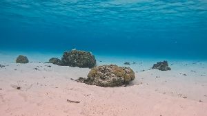 Dive site photo 4