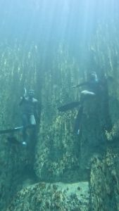 Dive site photo 1