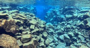 Dive site photo 4