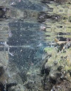 Dive site photo 5