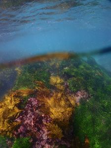 Dive site photo 3
