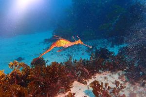 Dive site photo 1