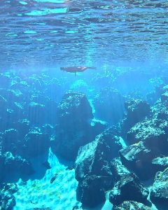 Dive site photo 1