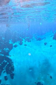 Dive site photo 2