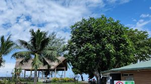 Plage Vaiava / Vaiava Beach