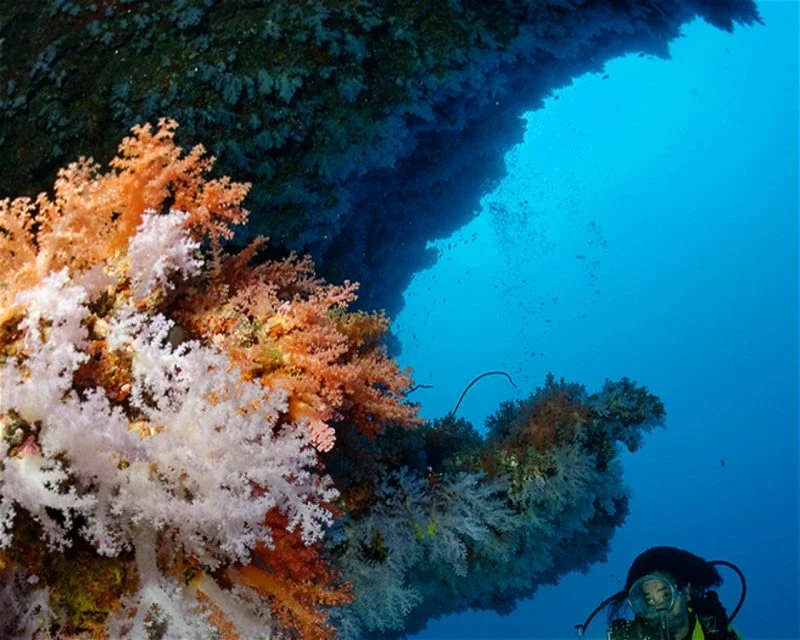 Dive site photo for kudathulhaadhoo-caves, maldives
