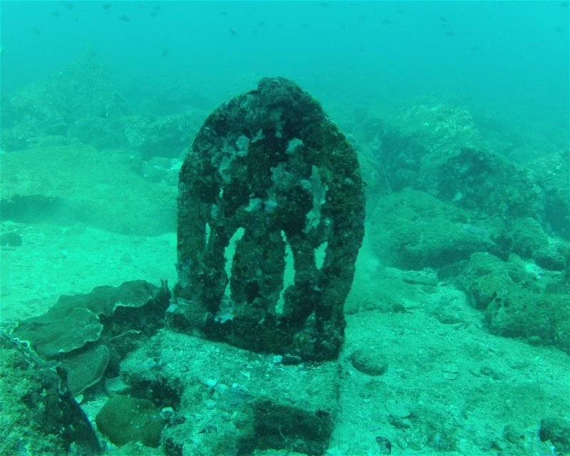 Dive site photo for dive-goddess, india