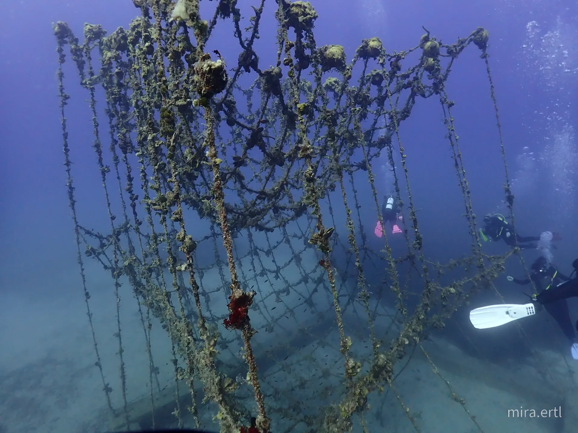 Dive site photo for artificial-reef, cyprus