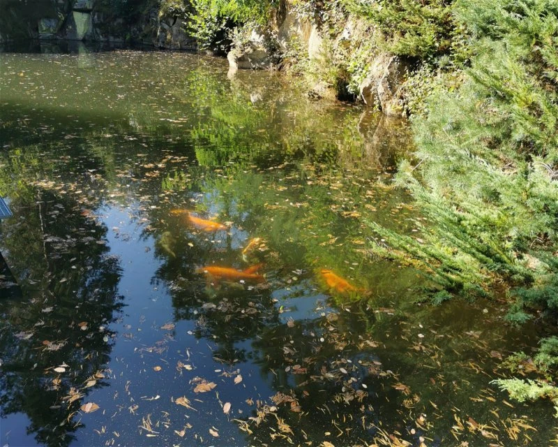 Dive site photo for slovnick-mln, czechia