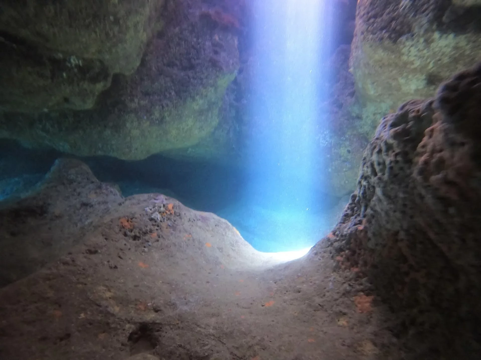 Dive site photo for palma-cavern, spain