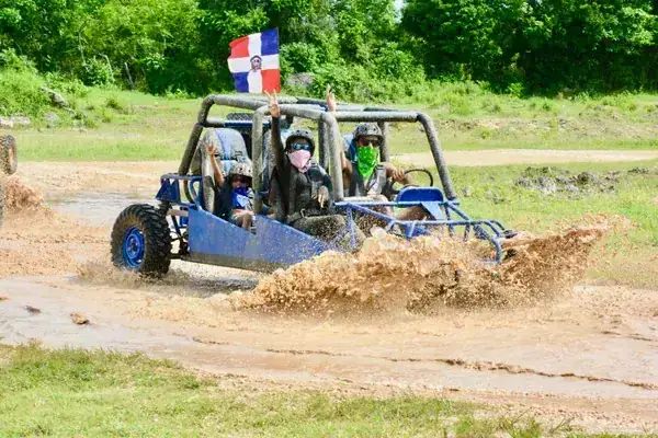 Wild Tiger Buggies Family (3-4)