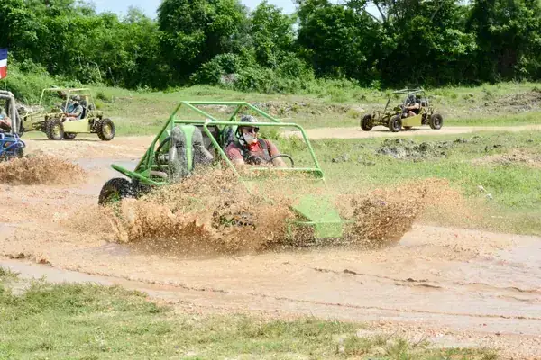 Wild Tiger Buggies Single Driver
