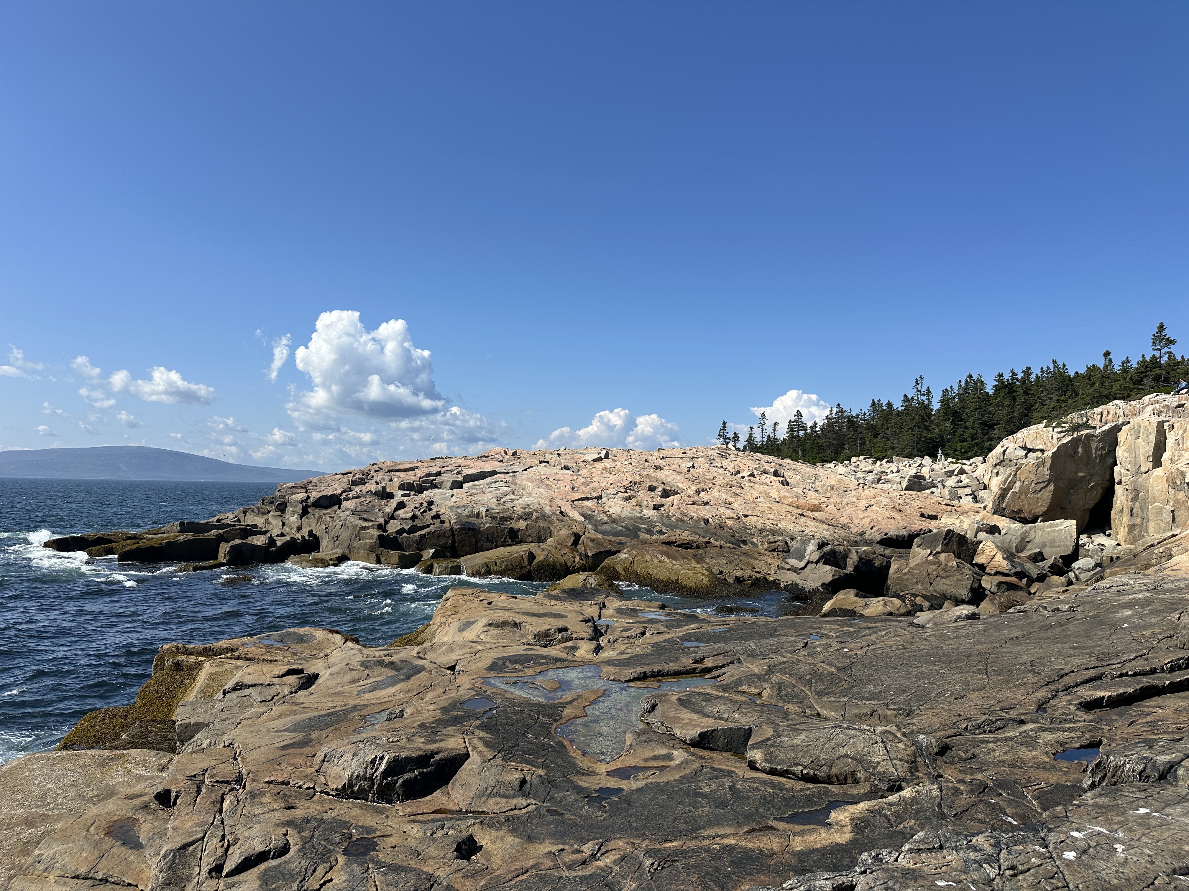 Schoodic coastline with pink granite, ocean waves, spruce forest, and Cadillac Mountain in the distance