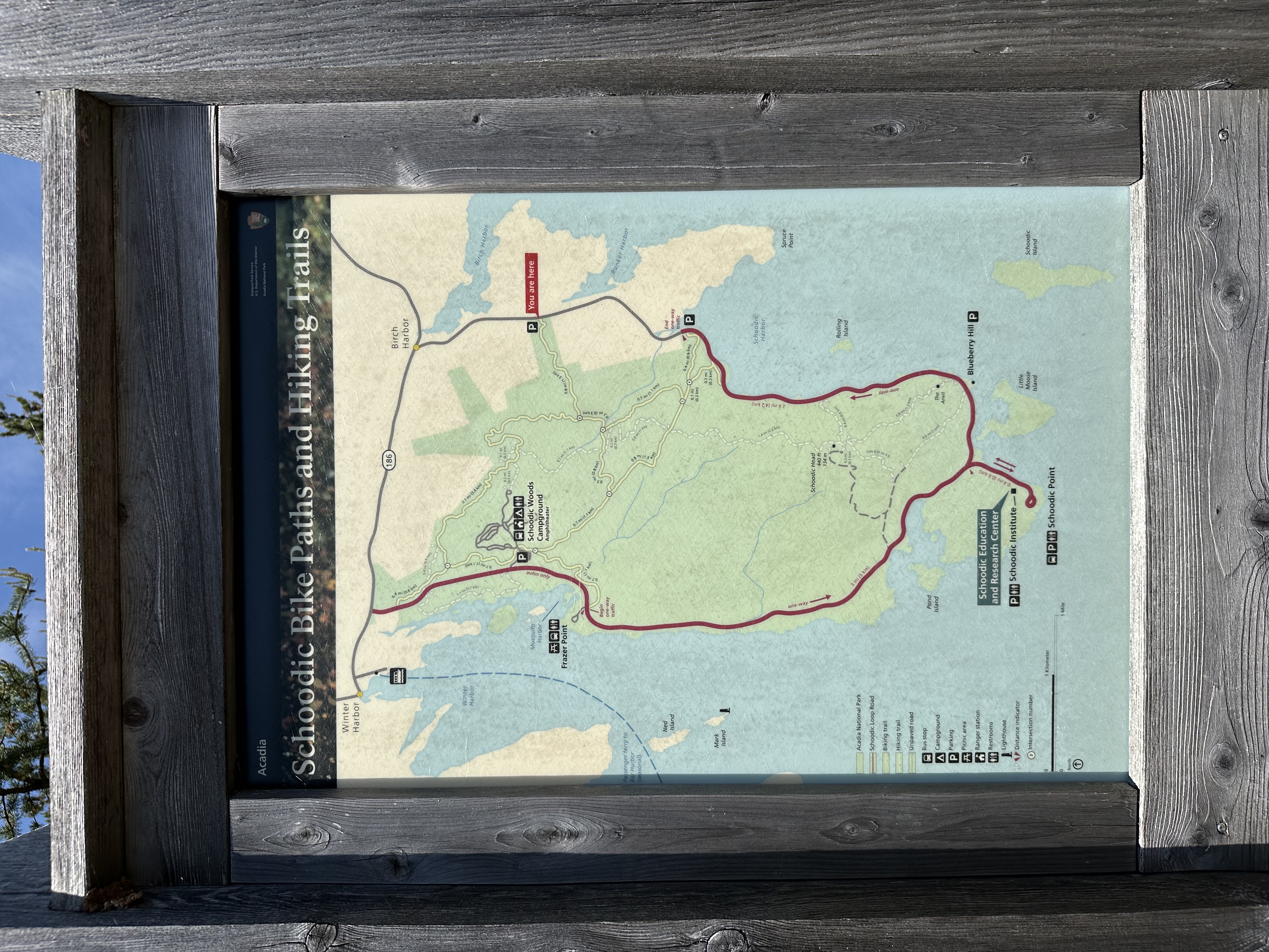 The Island Explorer stops along the Schoodic Loop Road