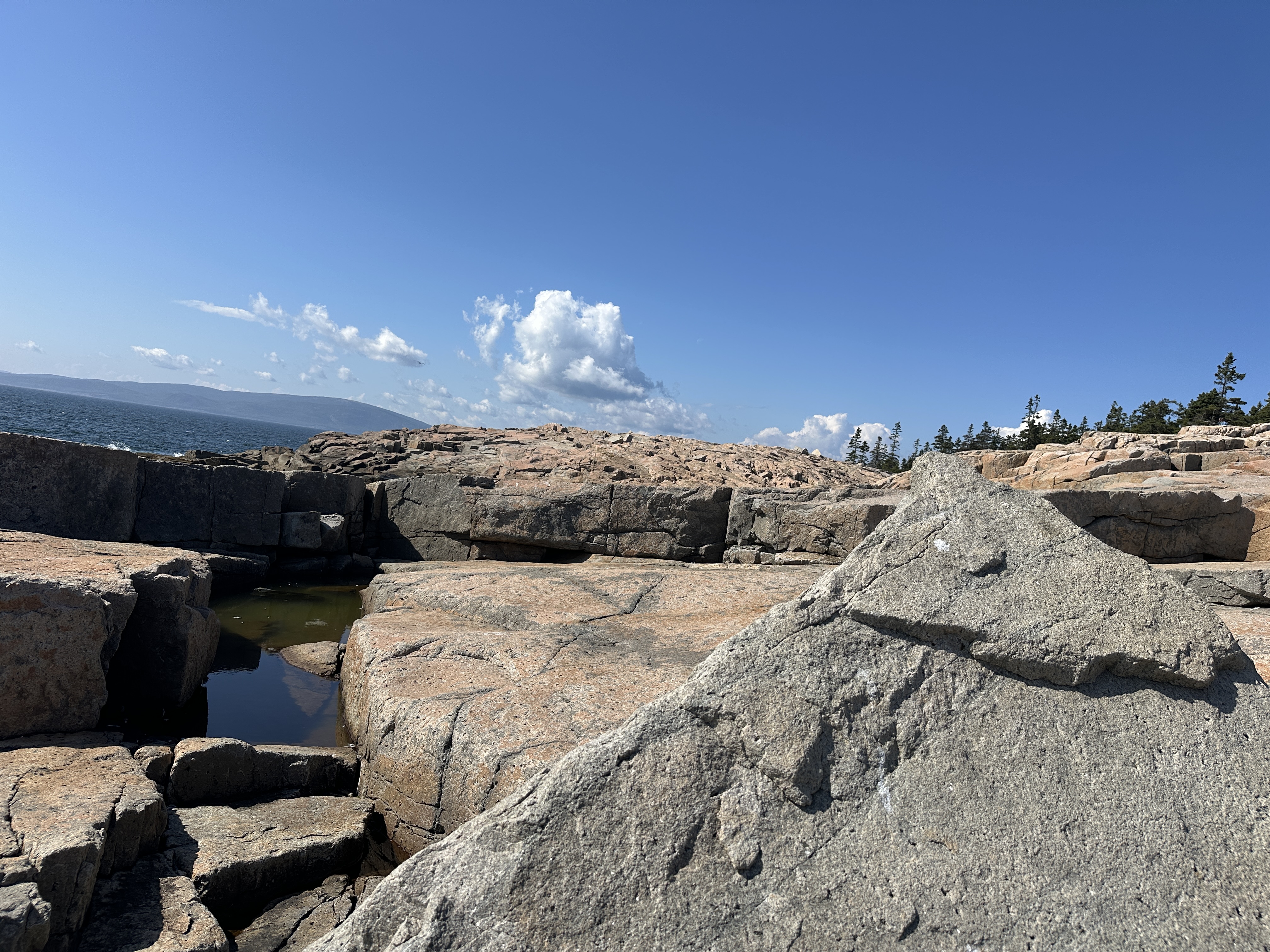 Pink granite and tidal pools at Schoodic Point