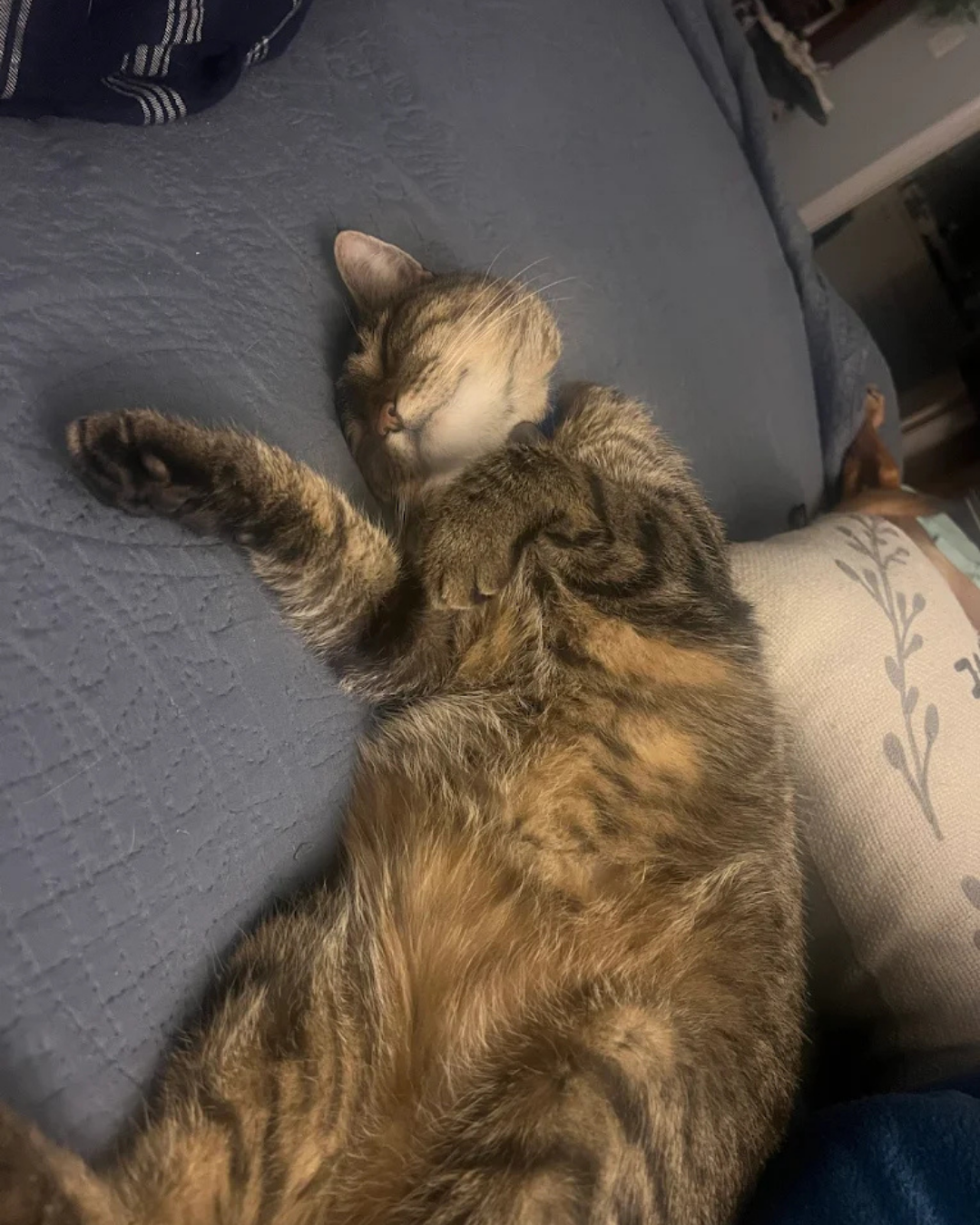 Daily photo update from Win Win Pet Sitting