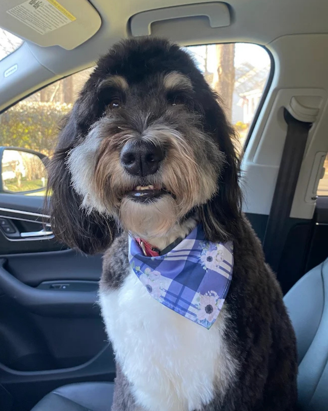 Daily photo update from Win Win Pet Sitting