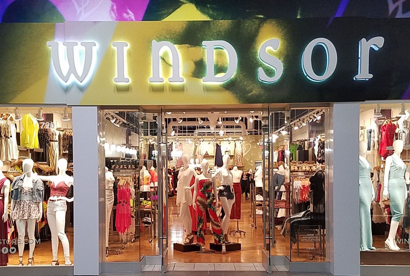 windsor store plus size