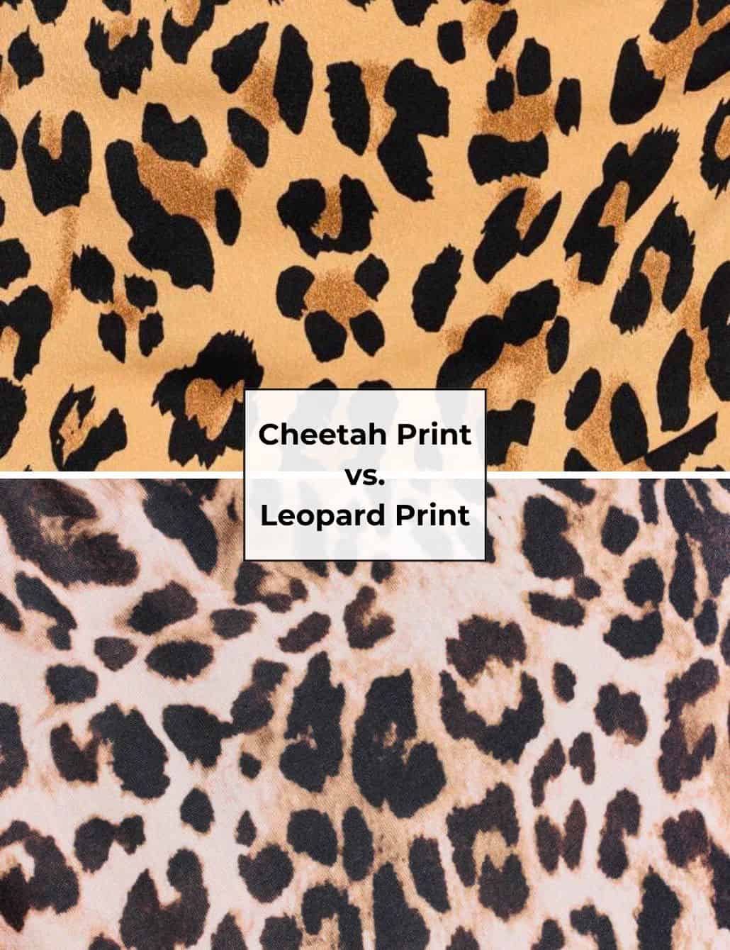 Animal Print Belt | Leopard Animal Print Belt | Leopard