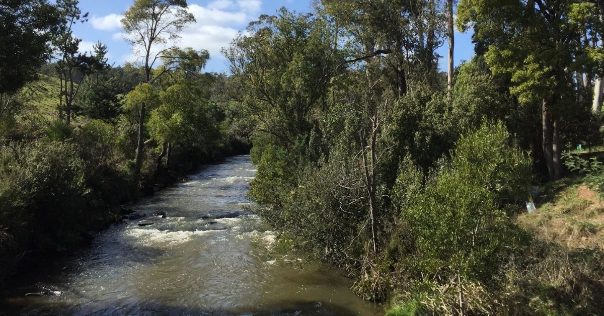 澳洲塔斯馬尼亞 Tasmania