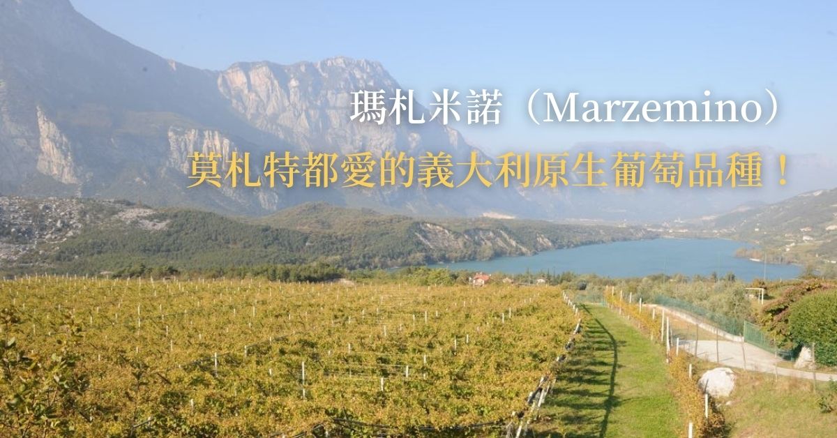 【品種介紹】瑪札米諾（Marzemino），莫札特都愛的義大利原生葡萄品種