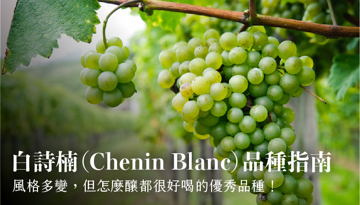 【葡萄品種】白詩楠（Chenin Blanc）品種指南