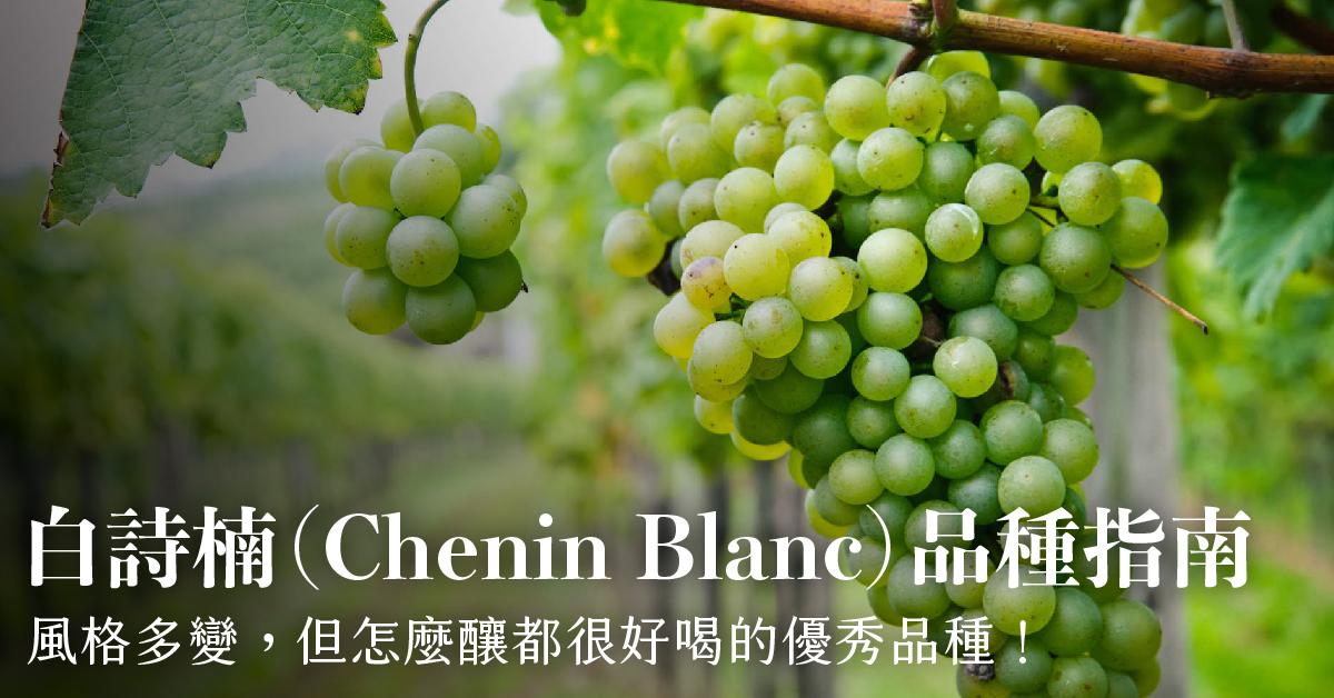 【葡萄品種】白詩楠（Chenin Blanc）品種指南
