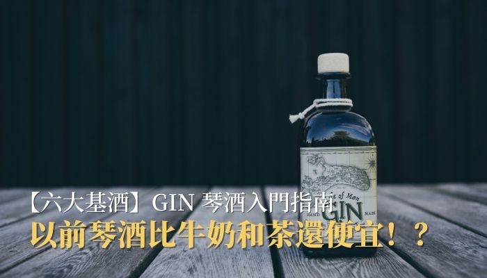 【六大基酒】GIN 琴酒入門指南，以前琴酒比牛奶和茶還便宜！？