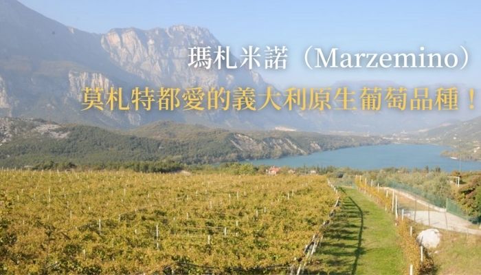 【品種介紹】瑪札米諾（Marzemino），莫札特都愛的義大利原生葡萄品種