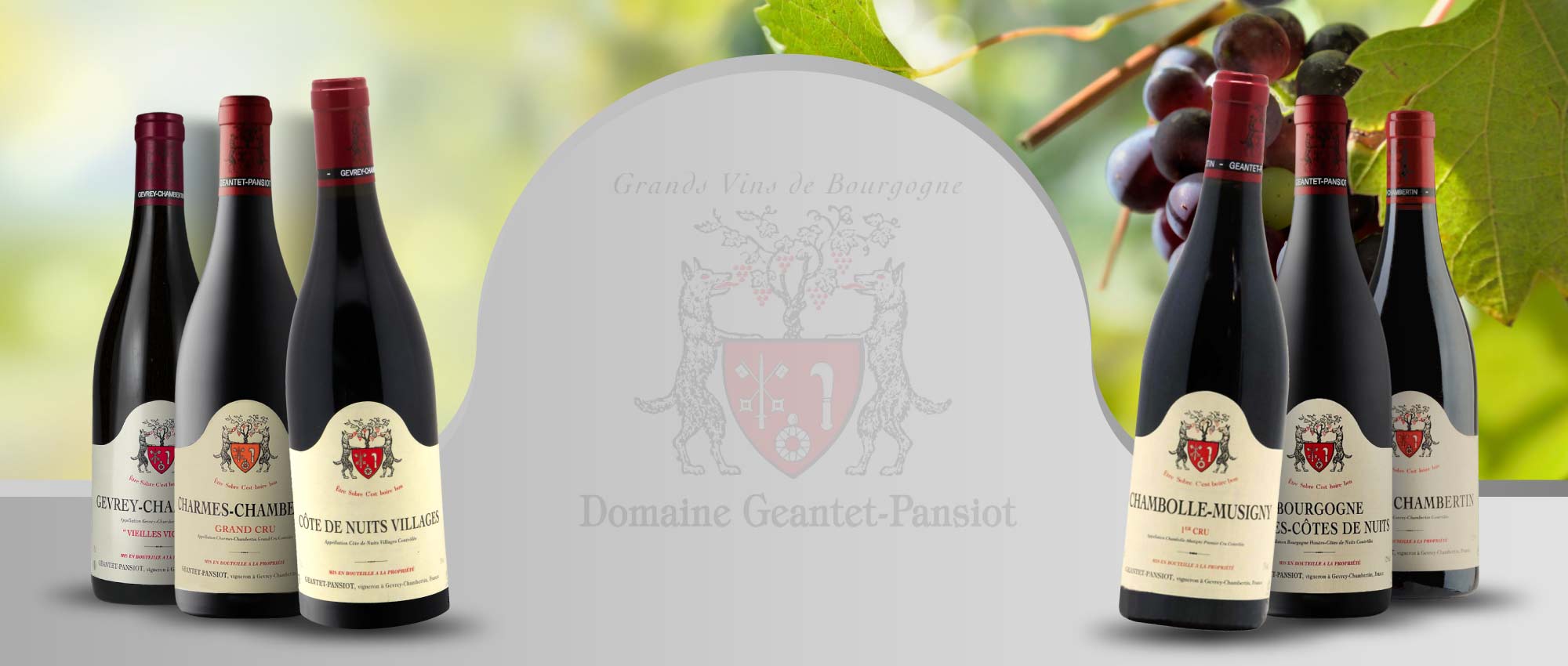 強堤帕西雍酒莊 Domaine Geantet-Pansiot