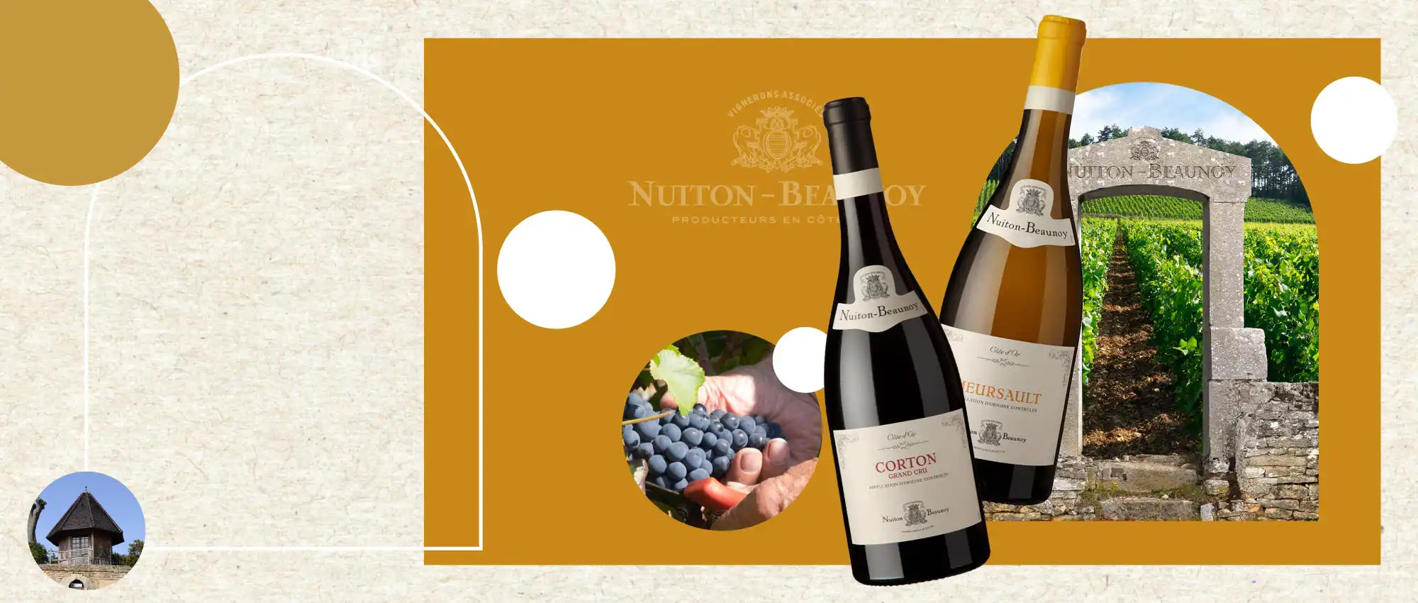 法國 勃根地葡萄酒 日月酒莊 France wine Bourgogne Nuiton Beaunoy