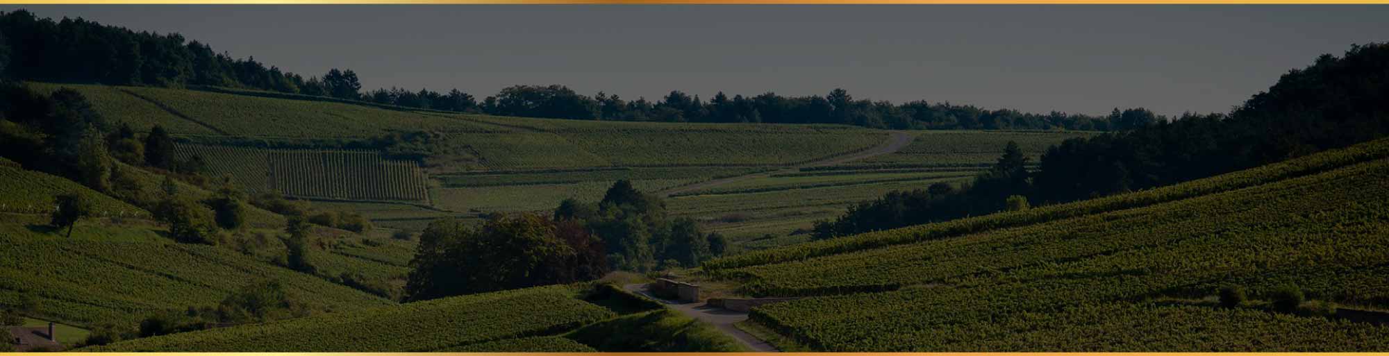 法國勃根地巨星 Fourrier 佛爺酒莊修道院 Vigne Comte de Chapelle by Jean-Marie Fourrier Bourgogne 大區級 & 隱藏版佳釀