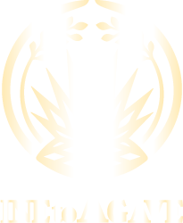 新政 NEXT 稻與龍舌蘭