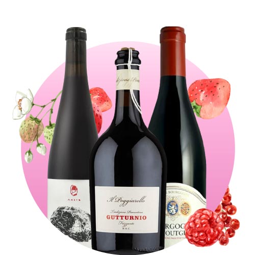 新鮮多汁 紅色莓果