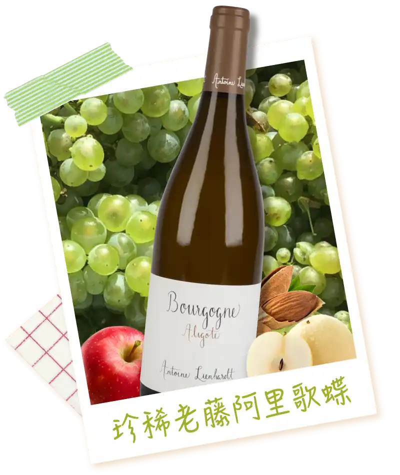 安東林恩哈特 勃根地 阿里歌蝶白酒 Antoine Lienhardt Bourgogne Aligote 2021