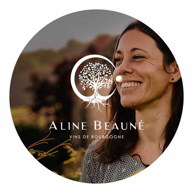 法國權威媒體《RVF》 艾琳·波恩酒莊 Aline Beaune