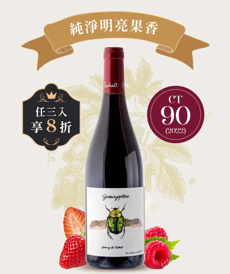 安東林恩哈特 勃根地丘 皮埃羅加美紅酒 Antoine Lienhardt Coteaux Bourguignons Gamayoptère 2024