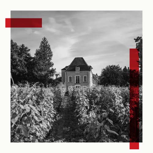 精選高品質地塊