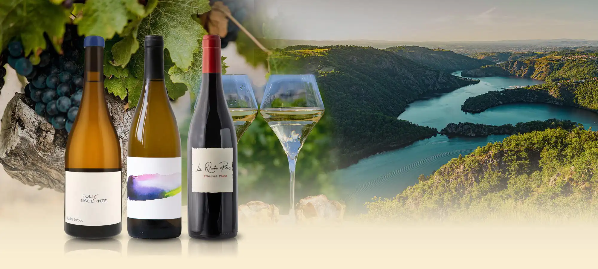 法國隆河 Rhone 三大名家 高分紅白酒推薦