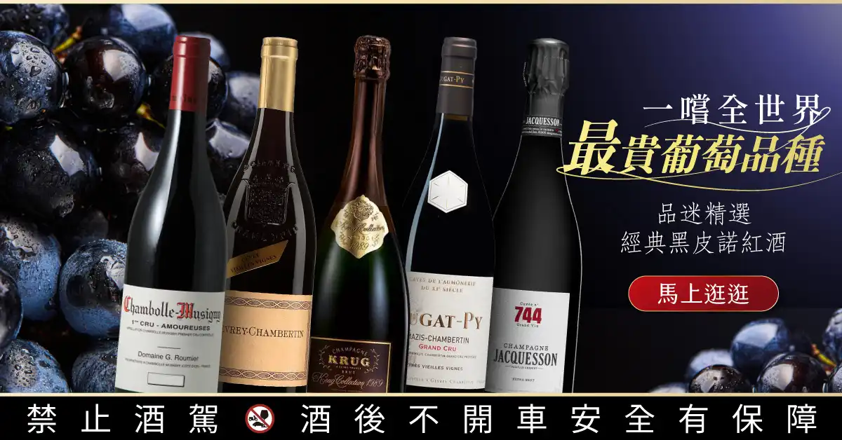 黑皮諾 Pinot Noir