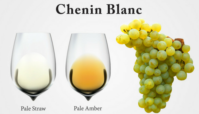 【葡萄品種】南非特有品種皮諾塔吉 Pinotage 、經典品種白梢楠 Chenin Blanc