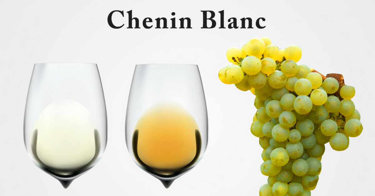 【葡萄品種】南非特有品種皮諾塔吉 Pinotage 、經典品種白梢楠 Chenin Blanc