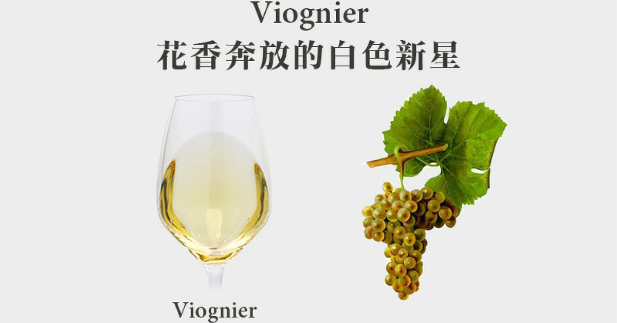 來自隆河的驕貴白葡萄 - 維歐尼耶 (Viognier)