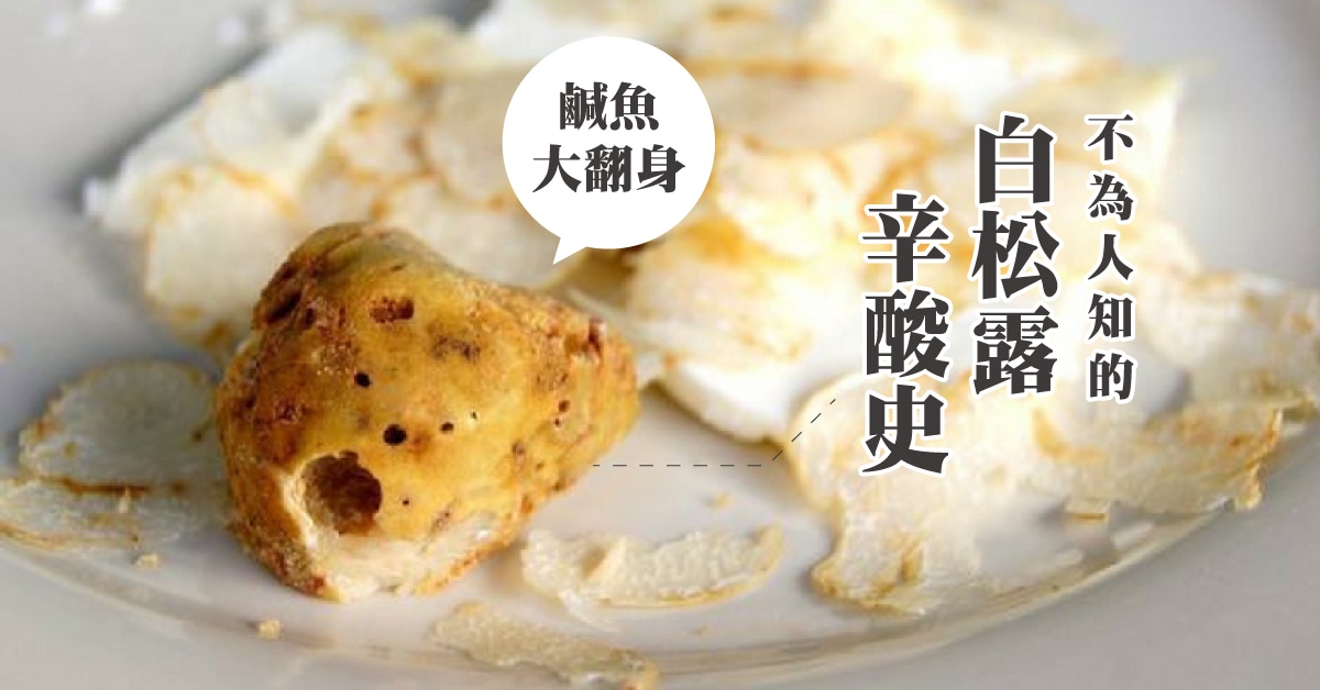 【 食材故事 】樸質華麗的神秘食材：白松露