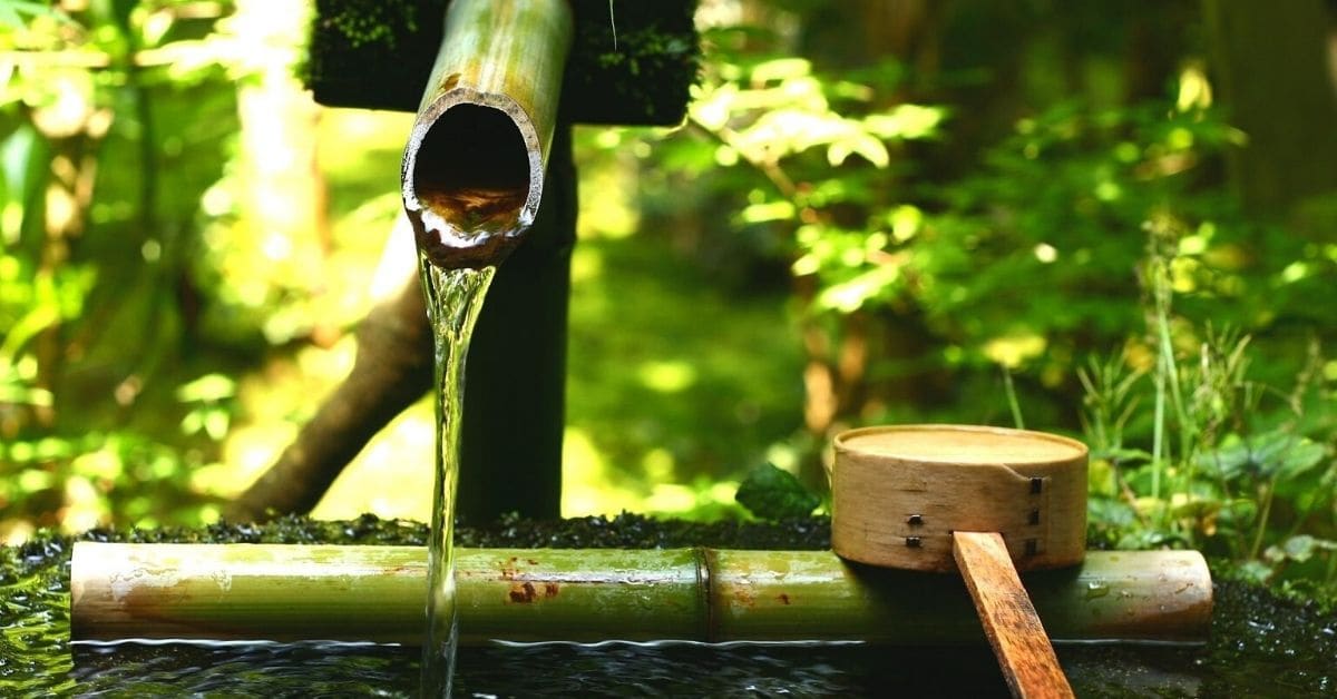 熊爸聊日本清酒：原來懂水會讓清酒更好喝！