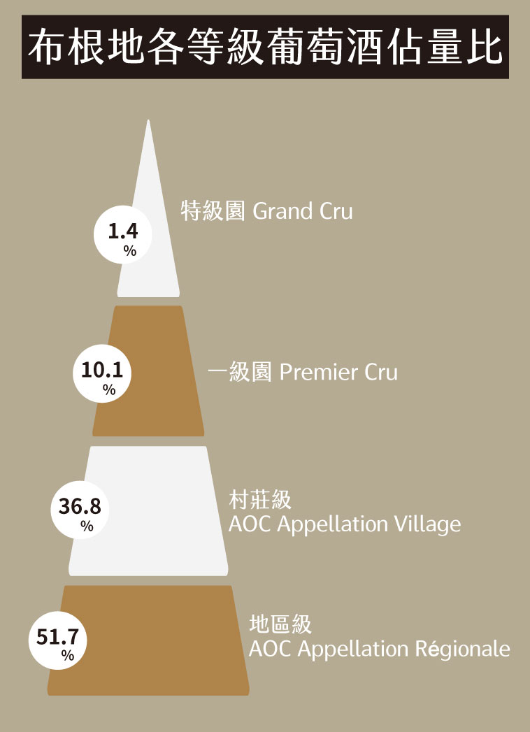 勃根地各等級葡萄酒佔量比