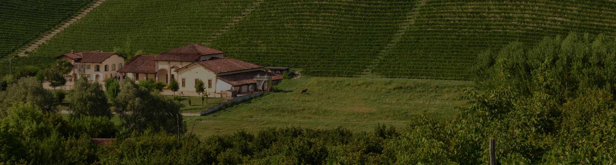 義大利葡萄酒 犀牛酒莊 La Spinetta 熱銷 推薦